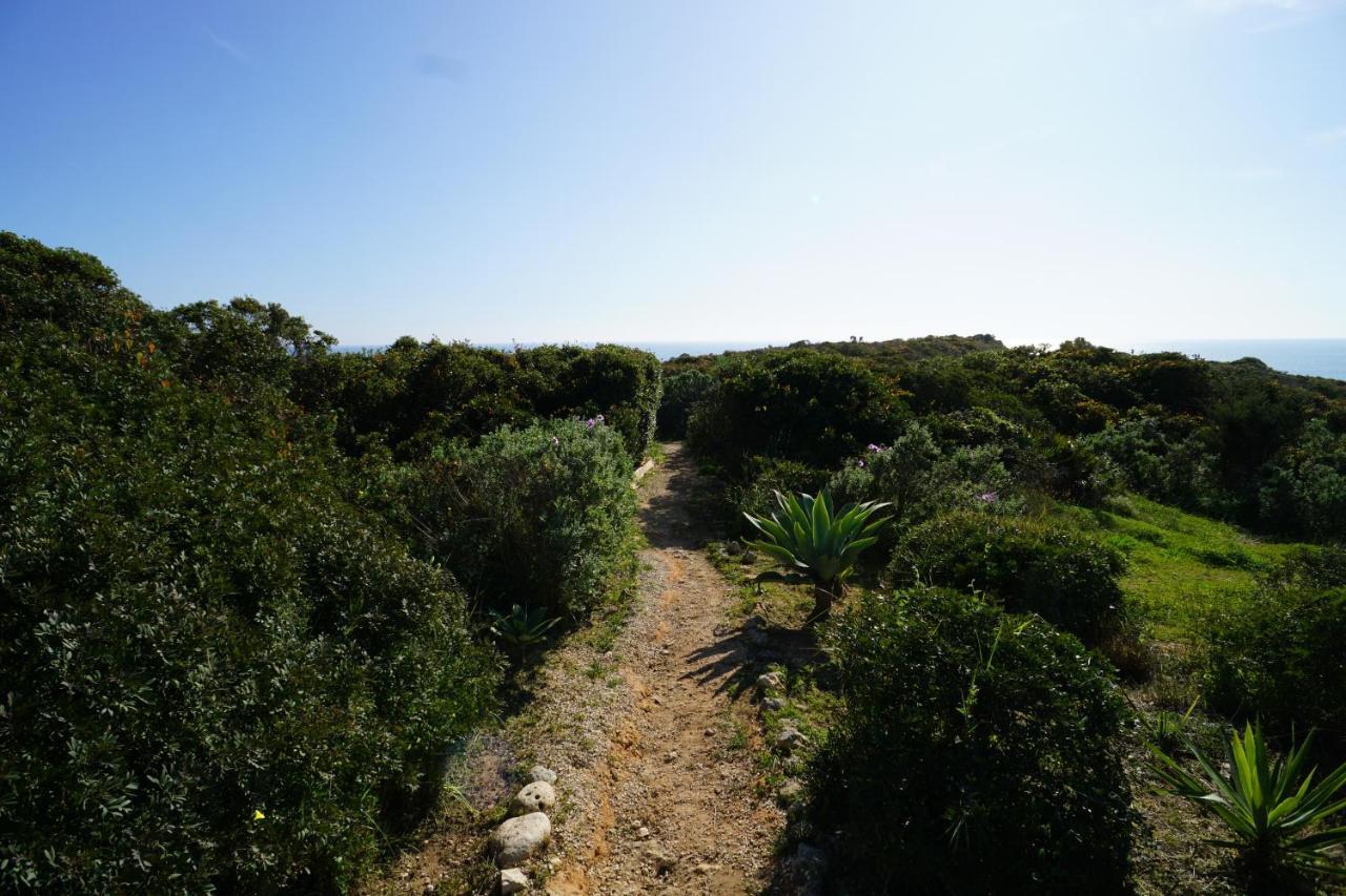 Gaivota 3g Ferragudo (Faro)