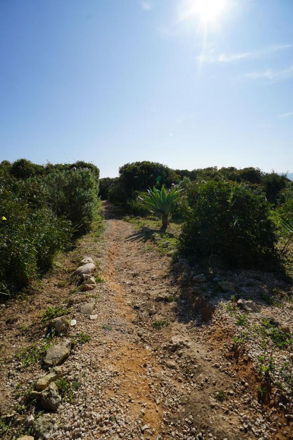 Apartment Gaivota 3g *